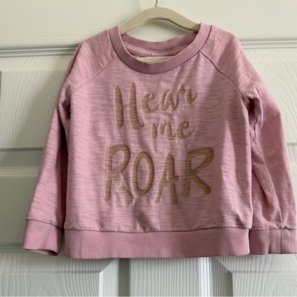 Gymboree Pink 'Hear Me Roar' Sweatshirt